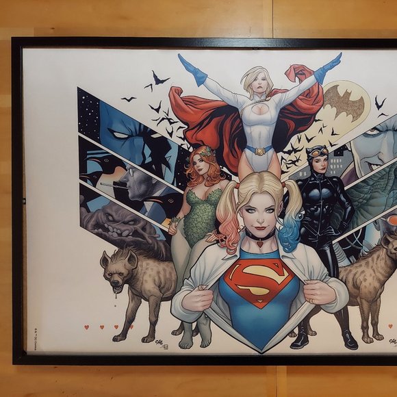 DC Girls Silk canvas Fabric Poster (24" x 36" appro… - Picture 1 of 2